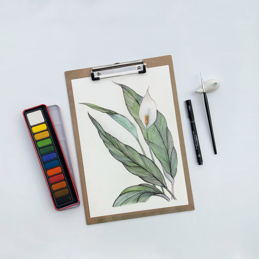 Peace Lily