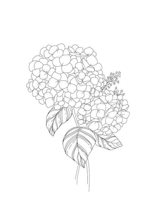 Hydrangea blooms - Printable design