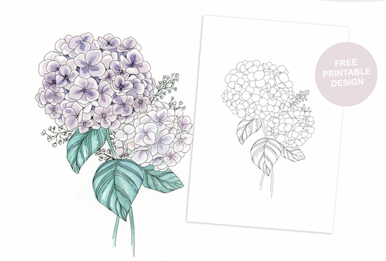 original illustration of hydrangea and baby's breath flowers turned into a sketch free to download and colour in your own time