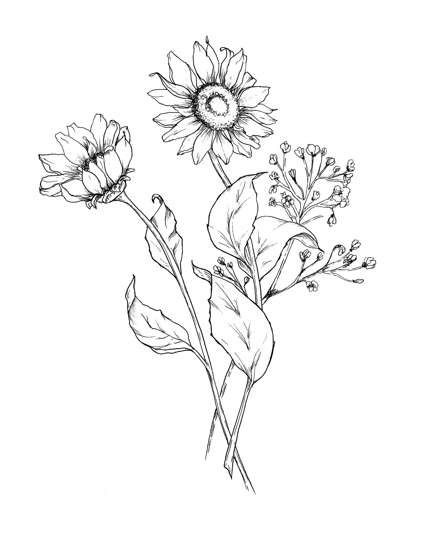 Free colouring page of a sunflower and gypsy-weed design created in fineliner pen on white background.