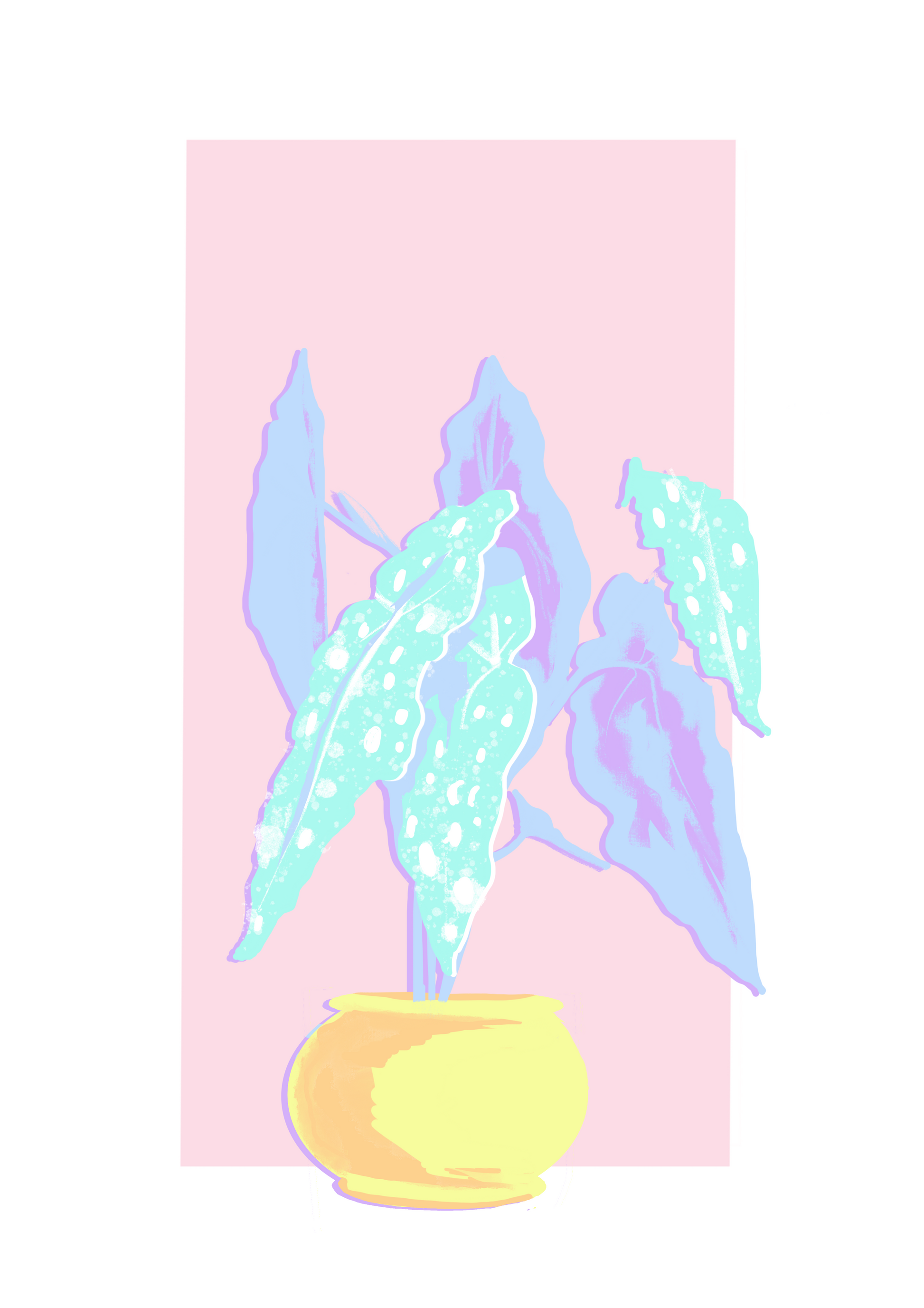 Polka dot begonia houseplant original paint by numbers design by Drop of Colour in colourful pastel colours.