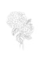 Hydrangea blooms - Printable design