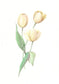 Tulips - Printable Design